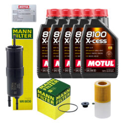 Kit Troca Óleo + Filtros Motul 8100 5w30 Bmw 320i 2013 2019