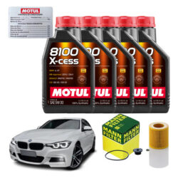 Kit Troca Óleo Motul 8100 5w30 Bmw 320i 2013 A 2019 + Filtro